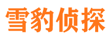 西丰侦探公司